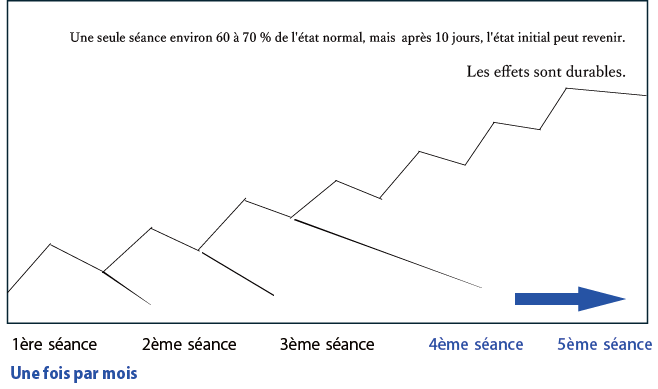 visage_body graph