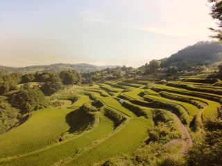 tanada