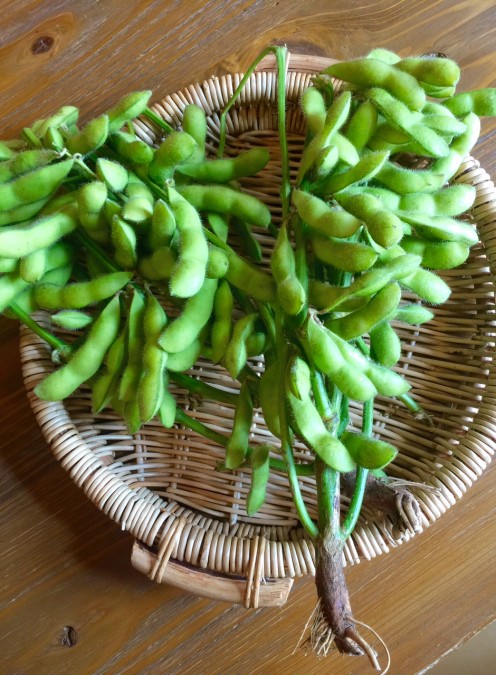 chi-zuke-ki 2