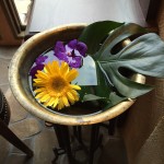 IMG_0523