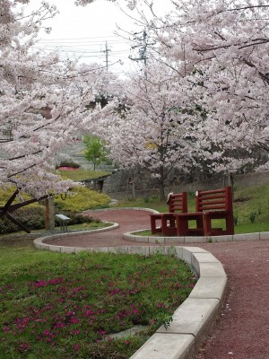 2016-04-05-13-51-12_photo