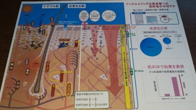 2016-04-21-11-15-47_photo