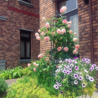 image3