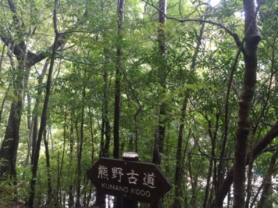 img_8921.jpg
