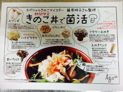 kinoko