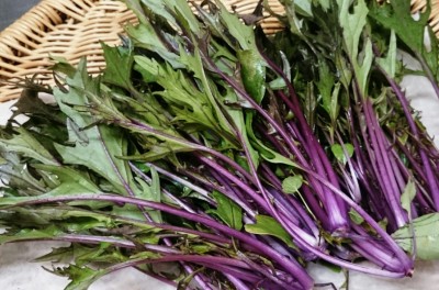 daikon03